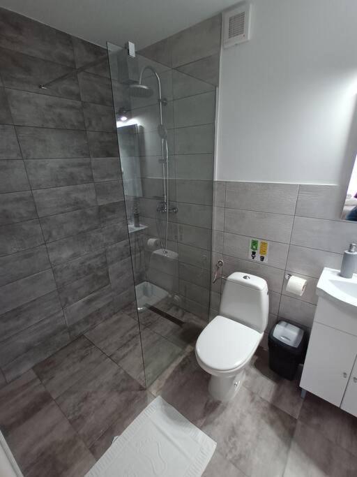 Old Town Studio 1 Apartment Nr 4 Baia Mare Exterior foto