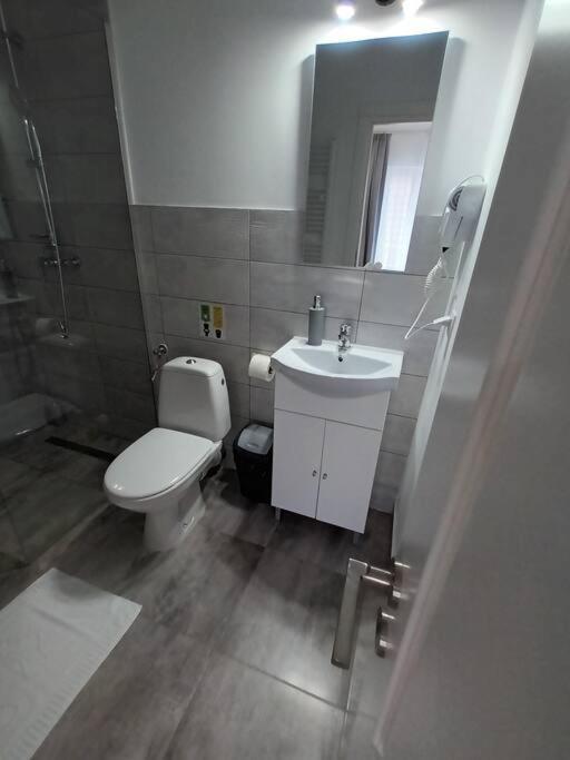 Old Town Studio 1 Apartment Nr 4 Baia Mare Exterior foto