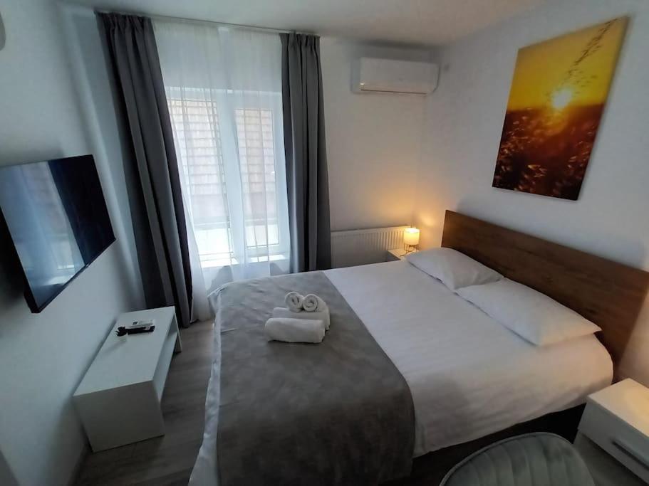 Old Town Studio 1 Apartment Nr 4 Baia Mare Exterior foto